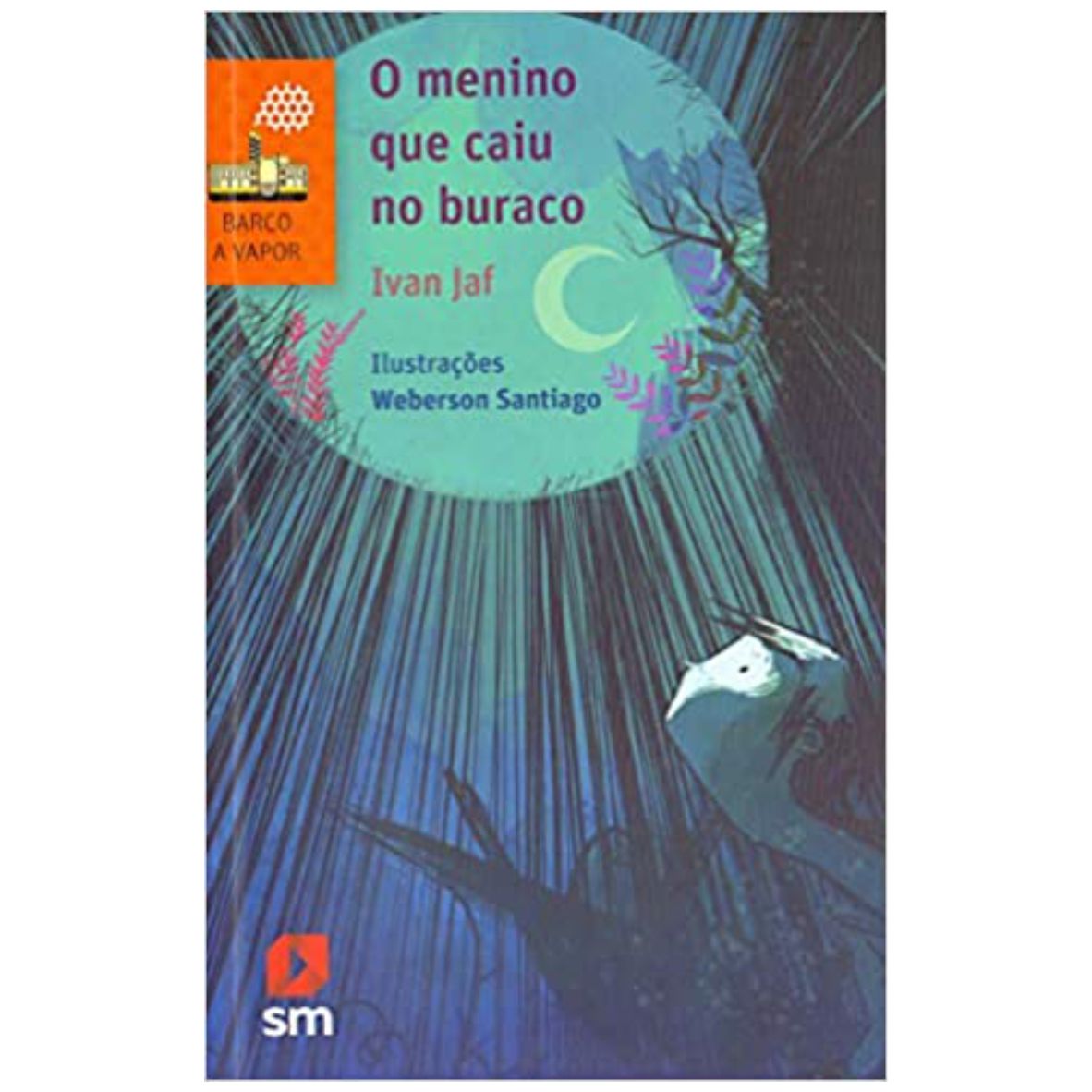 Livro O Menino que Caiu no Buraco - Editora SM