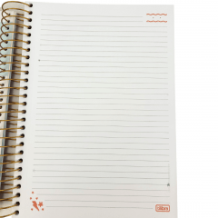 Caderno Capricho Universitário 20 Matérias 320 Fls Kit com 02 Unidades