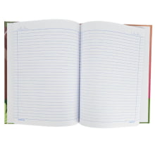 Kit 4 Cadernos Brochura Universitário Pimpolhos 96 Folhas Animativa